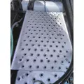 FREIGHTLINER CASCADIA 125 DECK (CATWALK) STEP thumbnail 1