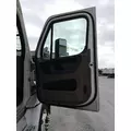 FREIGHTLINER CASCADIA 125 DOOR ASSEMBLY, FRONT thumbnail 2