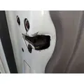 FREIGHTLINER CASCADIA 125 DOOR ASSEMBLY, FRONT thumbnail 9
