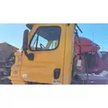 FREIGHTLINER CASCADIA 125 DOOR ASSEMBLY, FRONT thumbnail 1