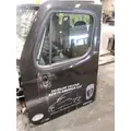 FREIGHTLINER CASCADIA 125 DOOR ASSEMBLY, FRONT thumbnail 5