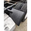 FREIGHTLINER CASCADIA 125 FENDER, QUARTERHALF REAR thumbnail 2