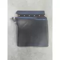 FREIGHTLINER CASCADIA 125 FENDER, QUARTERHALF REAR thumbnail 2