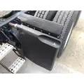 FREIGHTLINER CASCADIA 125 FENDER, QUARTERHALF REAR thumbnail 1