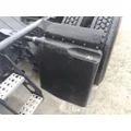 FREIGHTLINER CASCADIA 125 FENDER, QUARTERHALF REAR thumbnail 1