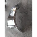 FREIGHTLINER CASCADIA 125 FENDER, QUARTERHALF REAR thumbnail 3