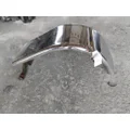 FREIGHTLINER CASCADIA 125 FENDER, QUARTERHALF REAR thumbnail 4