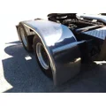 FREIGHTLINER CASCADIA 125 FENDER, QUARTERHALF REAR thumbnail 1