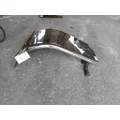 FREIGHTLINER CASCADIA 125 FENDER, QUARTERHALF REAR thumbnail 3