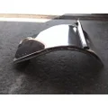 FREIGHTLINER CASCADIA 125 FENDER, QUARTERHALF REAR thumbnail 4
