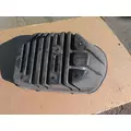 FREIGHTLINER CASCADIA 125 FENDER, SPLASH SHIELDGUARD thumbnail 1