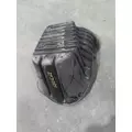 FREIGHTLINER CASCADIA 125 FENDER, SPLASH SHIELDGUARD thumbnail 3