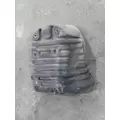 FREIGHTLINER CASCADIA 125 FENDER, SPLASH SHIELDGUARD thumbnail 2