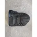 FREIGHTLINER CASCADIA 125 FENDER, SPLASH SHIELDGUARD thumbnail 3