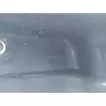 FREIGHTLINER CASCADIA 125 FENDER, SPLASH SHIELDGUARD thumbnail 2