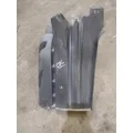 FREIGHTLINER CASCADIA 125 FENDER, SPLASH SHIELDGUARD thumbnail 3