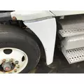 FREIGHTLINER CASCADIA 125 FENDER EXTENSION thumbnail 1