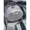 FREIGHTLINER CASCADIA 125 FUEL TANK thumbnail 2