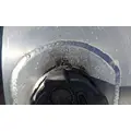 FREIGHTLINER CASCADIA 125 FUEL TANK thumbnail 3