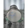 FREIGHTLINER CASCADIA 125 FUEL TANK thumbnail 1