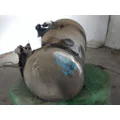 FREIGHTLINER CASCADIA 125 FUEL TANK thumbnail 3