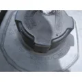 FREIGHTLINER CASCADIA 125 FUEL TANK thumbnail 5
