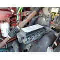FREIGHTLINER CASCADIA 125 FUSE BOX thumbnail 1