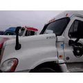 FREIGHTLINER CASCADIA 125 HOOD thumbnail 1