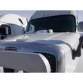 FREIGHTLINER CASCADIA 125 HOOD thumbnail 5