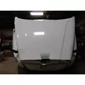 FREIGHTLINER CASCADIA 125 HOOD thumbnail 6
