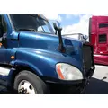 FREIGHTLINER CASCADIA 125 HOOD thumbnail 4