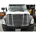 FREIGHTLINER CASCADIA 125 HOOD thumbnail 1