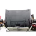 FREIGHTLINER CASCADIA 125 HOOD thumbnail 5