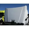 FREIGHTLINER CASCADIA 125 HOOD thumbnail 4