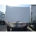 FREIGHTLINER CASCADIA 125 HOOD thumbnail 5