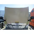 FREIGHTLINER CASCADIA 125 HOOD thumbnail 5