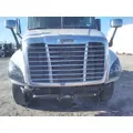 FREIGHTLINER CASCADIA 125 HOOD thumbnail 4