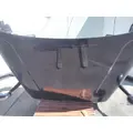 FREIGHTLINER CASCADIA 125 HOOD thumbnail 1