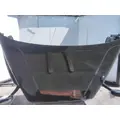 FREIGHTLINER CASCADIA 125 HOOD thumbnail 5