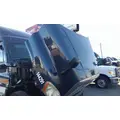 FREIGHTLINER CASCADIA 125 HOOD thumbnail 10