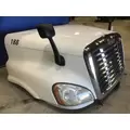 FREIGHTLINER CASCADIA 125 HOOD thumbnail 7