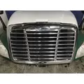 FREIGHTLINER CASCADIA 125 HOOD thumbnail 12