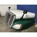 FREIGHTLINER CASCADIA 125 HOOD thumbnail 10