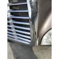 FREIGHTLINER CASCADIA 125 HOOD thumbnail 4