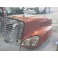 FREIGHTLINER CASCADIA 125 HOOD thumbnail 10