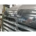 FREIGHTLINER CASCADIA 125 HOOD thumbnail 5