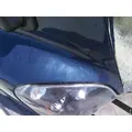 FREIGHTLINER CASCADIA 125 HOOD thumbnail 10