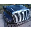 FREIGHTLINER CASCADIA 125 HOOD thumbnail 13