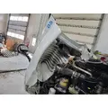 FREIGHTLINER CASCADIA 125 HOOD thumbnail 3