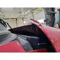 FREIGHTLINER CASCADIA 125 HOOD thumbnail 6